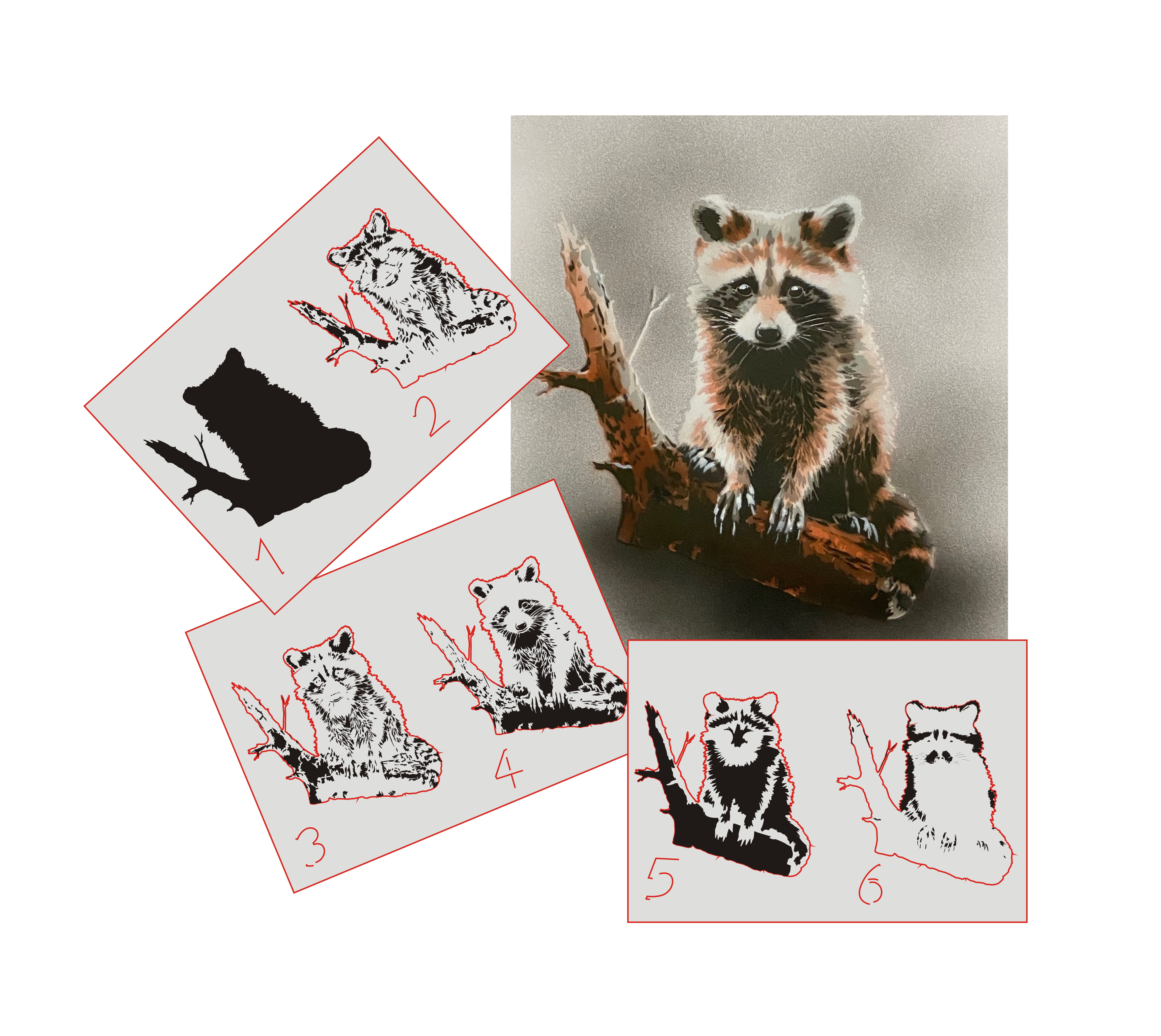 AS-376 Raccoon step by step stencil for acrylic, airbrush, spray, varnish and wall paint
